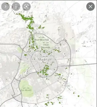 الغطاء النباتي في المملكة العربية السعودية