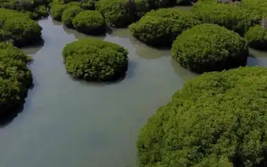 محمية جزر فرسان احدى المحميات الطبيعية