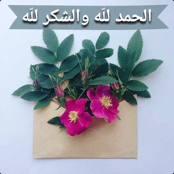 أجمل صور مكتوب عليها الحمد لله