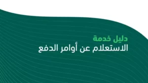 الاستعلام عن أوامر الدفع