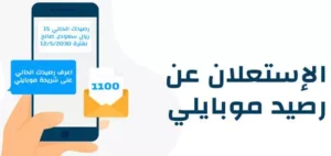 الاستعلام عن الرصيد