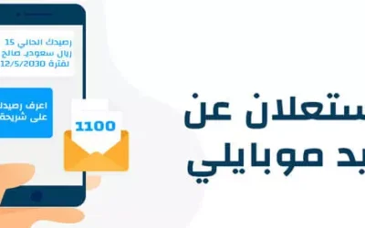 الاستعلام عن الرصيد