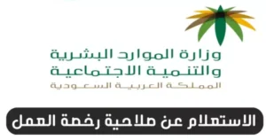 الاستعلام عن رخصة العمل