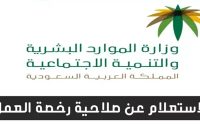 الاستعلام عن رخصة العمل