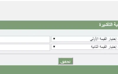 الاستعلام عن صلاحية التأشيرة