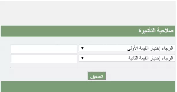 الاستعلام عن صلاحية التأشيرة